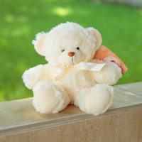 Мягкая игрушка Медведь DL104000243B